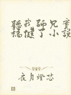 听我师兄实在太稳健了小说全集