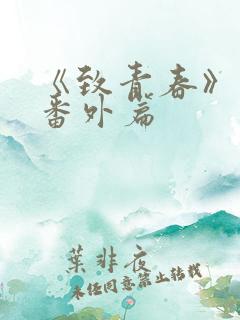 《致青春》结局番外篇