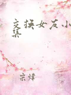 交换女友小说合集