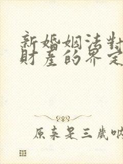 新婚姻法对婚前财产的界定