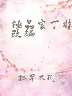 极品家丁非绿版改编