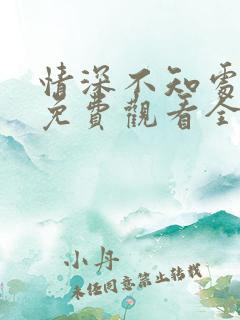 情深不知处短剧免费观看全集高清