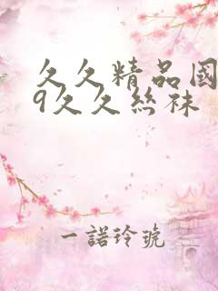 久久精品国产99久久丝袜