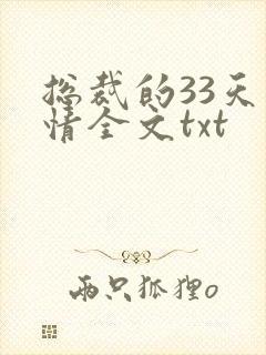 总裁的33天索情全文txt