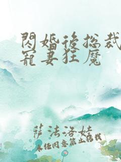 闪婚后总裁成了宠妻狂魔