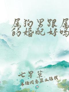 属狗男跟属牛女的婚配好吗