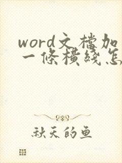 word文档加一条横线怎么加