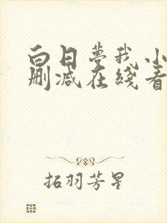 白日梦我小说未删减在线看