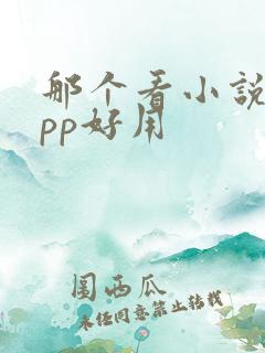 那个看小说的app好用