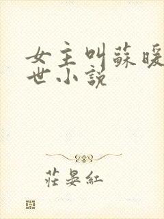 女主叫苏暖的末世小说