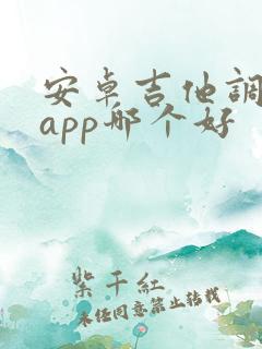 安卓吉他调音器app哪个好