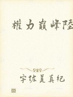 权力巅峰陆皓