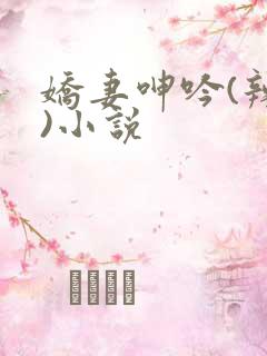 娇妻呻吟(辣文)小说