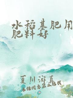 水稻基肥用什么肥料好