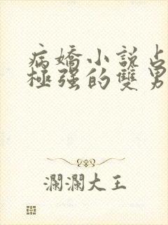 病娇小说占有欲极强的双男主