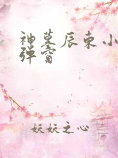 神墓辰东小说无弹窗