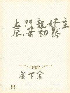 上门龙婿主角叶辰,萧初然