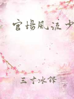 官场风流少妇