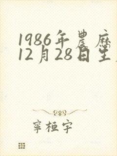 1986年农历12月28日生辰八字