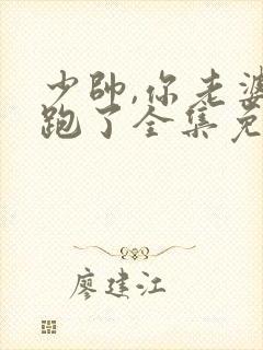 少帅,你老婆又跑了全集免费观看