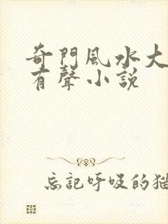 奇门风水大天师有声小说