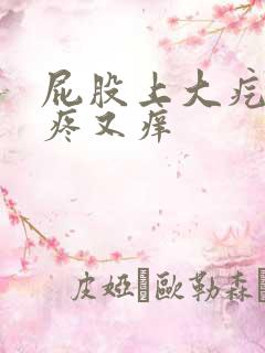 屁股上大疙瘩又疼又痒