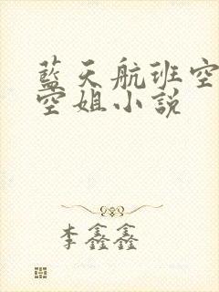 蓝天航班空公司空姐小说