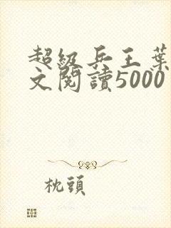 超级兵王叶谦全文阅读5000