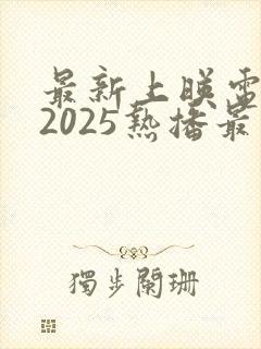 最新上映电视剧2025热播最火剧