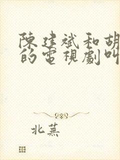 陈建斌和胡可演的电视剧叫什么名字