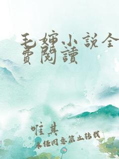 毛婶小说全文免费阅读