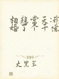 相亲当天:我闪婚了个千亿富翁电子版