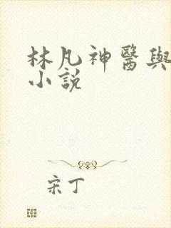 林凡神医与叶惜小说