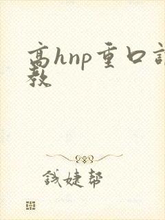 高hnp重口调教