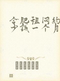 合肥租网约车多少钱一个月
