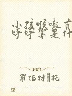 小孩喉咙有声音呼呼响是什么原因