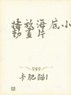播放海底小纵队动画片