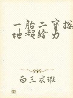 一胎二宝总裁爹地超给力