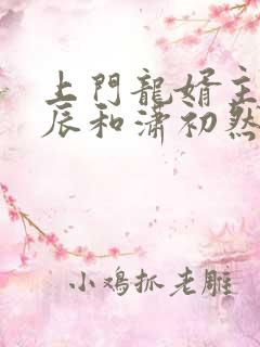上门龙婿主角叶辰和潇初然