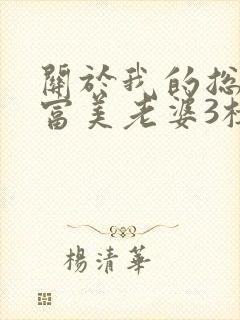 关于我的总裁白富美老婆3楼小说