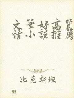 文笔好高质量言情小说推荐