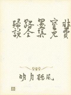 归路墨宝非宝小说全集免费阅读