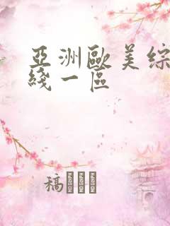 亚洲欧美综合在线一区
