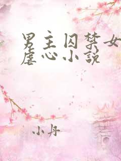 男主囚禁女主的虐心小说