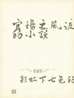 官场之风流医少的小说