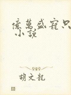 亿万盛宠只为你 小说