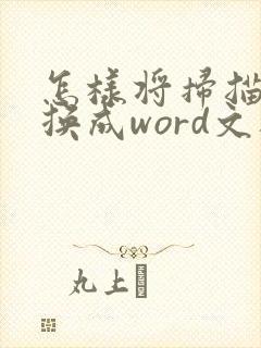 怎样将扫描件转换成word文档