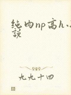 纯肉np高h小说
