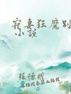宠妻狂魔别太坏 小说