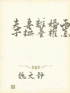 夫妻离婚两个孩子抚养权怎么判定